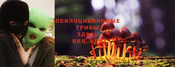 дурь Вязьма