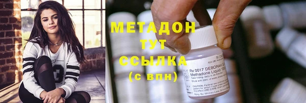 прущие грибы Вязники