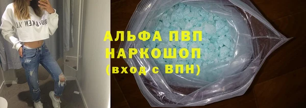 прущие грибы Вязники