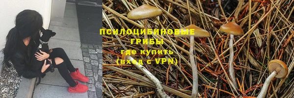 мдма Вяземский