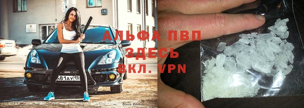 прущие грибы Вязники
