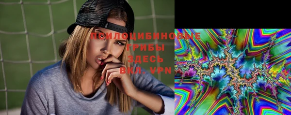 прущие грибы Вязники