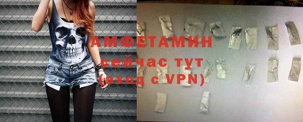прущие грибы Вязники