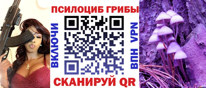 Купить где  Свирск  Галлюциногенные грибы Magic Shrooms 