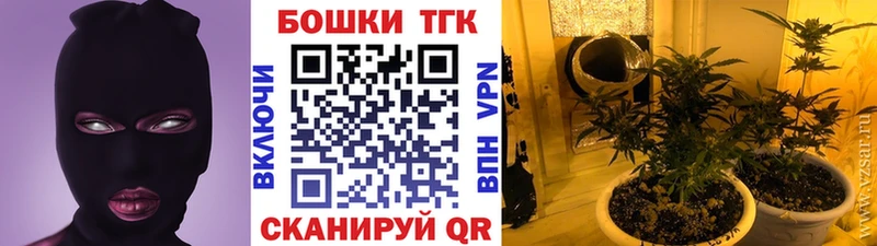 Конопля Bruce Banner  Купить где  Свирск 